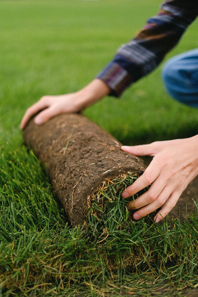 Close-up of hands rolling sod on a lush green lawn outdoors.